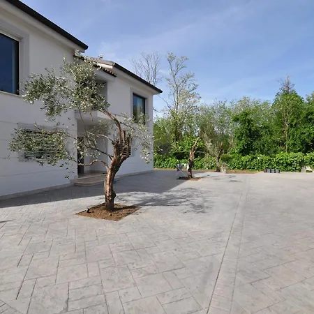 Dei Gelsomini Rocca Di Papa